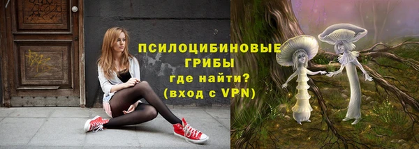соль курить ск Алексеевка