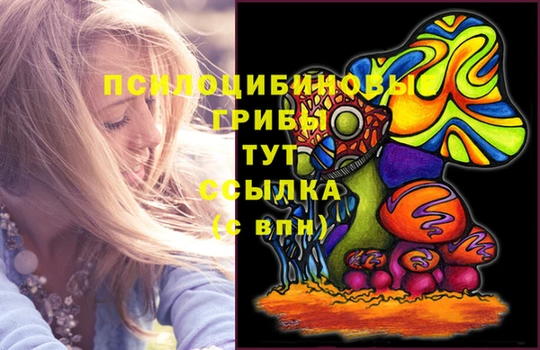 кокс Алзамай
