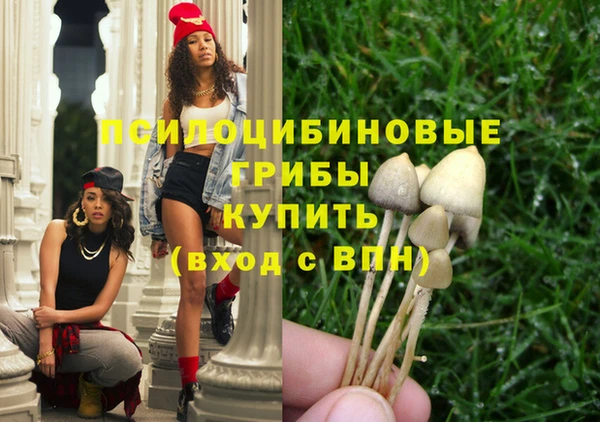 кокс Алзамай