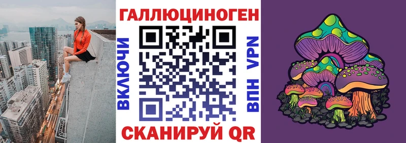 ссылка на мегу рабочий сайт  купить наркоту  Зверево  Псилоцибиновые грибы мицелий 